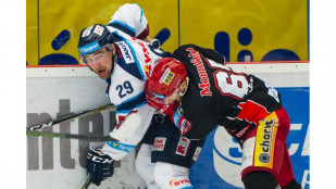 Hokejové play off: Hradec v pátém čtvrtfinále padl s Libercem