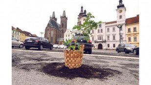 Nadšená zahrádkářka na vlastní pěst zkrášluje Velké náměstí