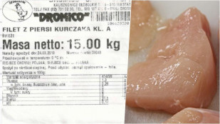 V polském kuřecím našli salmonely. Jedlo se na východě Čech