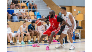 Liga mistrů míří do Pardubic. Beksa vyzve španělskou Málagu