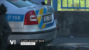 Celorepublikové krádeže objasnila Královéhradecká policie