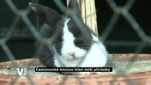 Častolovická minizoo láká na nové přírůstky