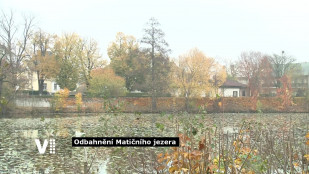 Pardubice nechají odbahnit Matiční jezero za více než 20 milionů