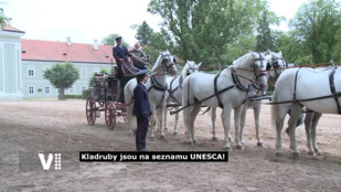 Kladruby jsou na seznamu UNESCO! Chystají se velké investice