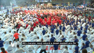 MS v karate v Hradci Králové: nový rekord a deset medailí pro Česko