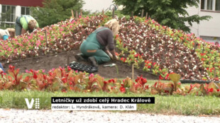 Letničky zdobí celý Hradec Králové