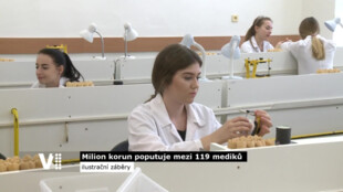 Milion korun poputuje mezi 119 mediků