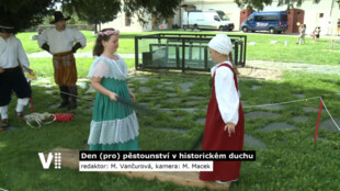 Den (pro) pěstounství v historickém duchu