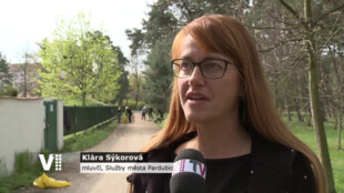 Parky čistší díky Ukrajincům