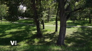 Hradec vzdá hold Františce Plamínkové