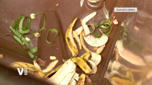 Hradec rozšiřuje sběr bioodpadu