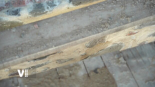 Oprava Zelené brány si vyžádá dalších 6 milionů