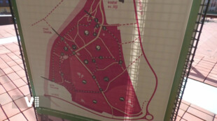 Z cvičiště živá přírodní lokalita