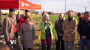 Pardubice vysadily 80 lip pro 80 let míru