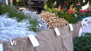 V Hradci začínají vánoční trhy