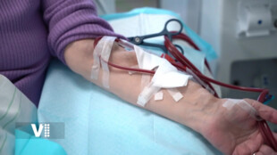 Třicet let péče, která mění životy