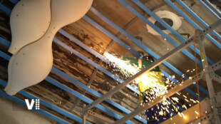 Sádrové bobule zdobí zámek v Pardubicích