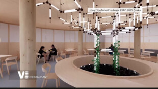 Pavilon z Japonska možná poputuje do Pardubic