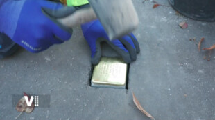 Pardubice nezapomínají