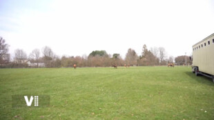 Do Pardubic přijel po zimě první cirkus