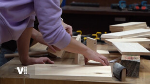 Hmyzí budky zamíří do pardubických školek