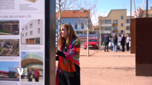 Dřevo, materiál budoucnosti