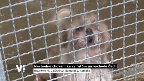 Východočeské zprávy