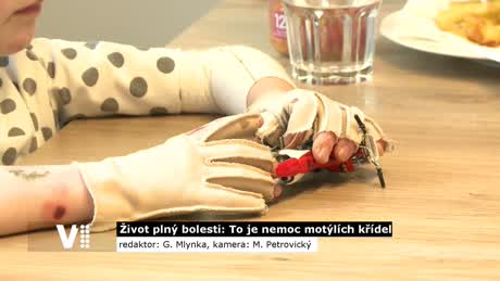 Východočeské zprávy