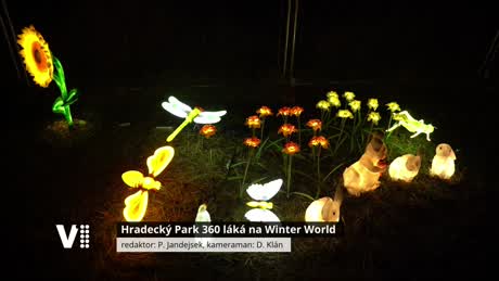 Východočeské zprávy