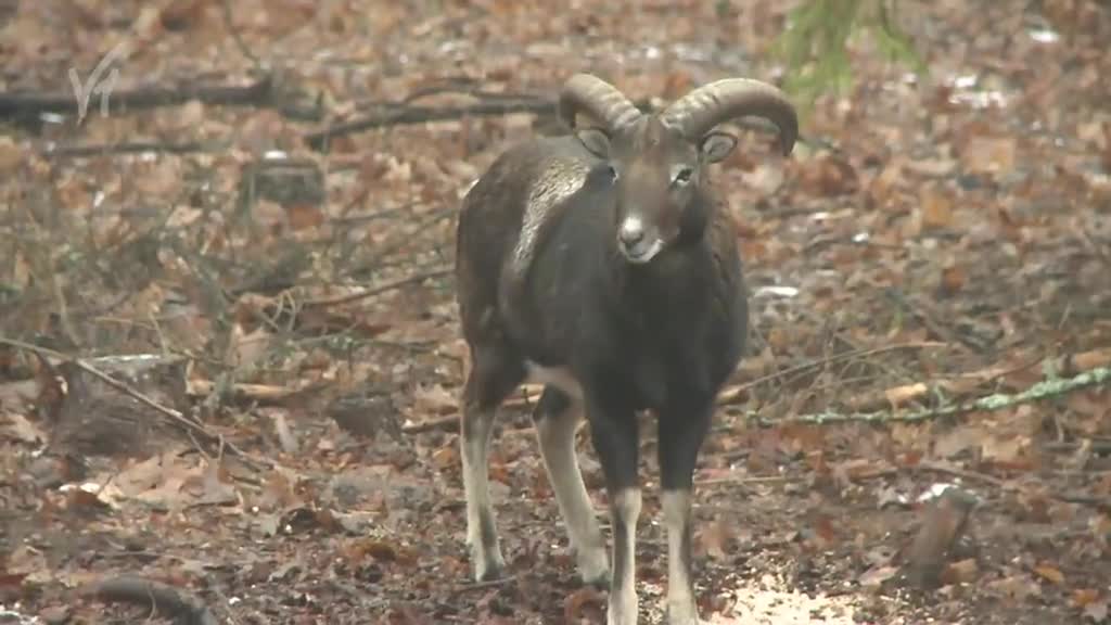 Východočeské zprávy