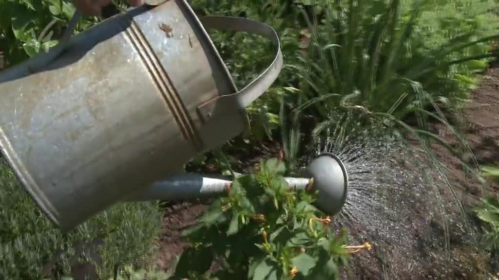 Východočeské zprávy