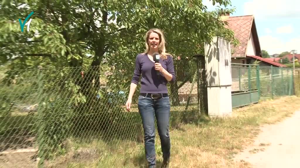 Východočeské zprávy