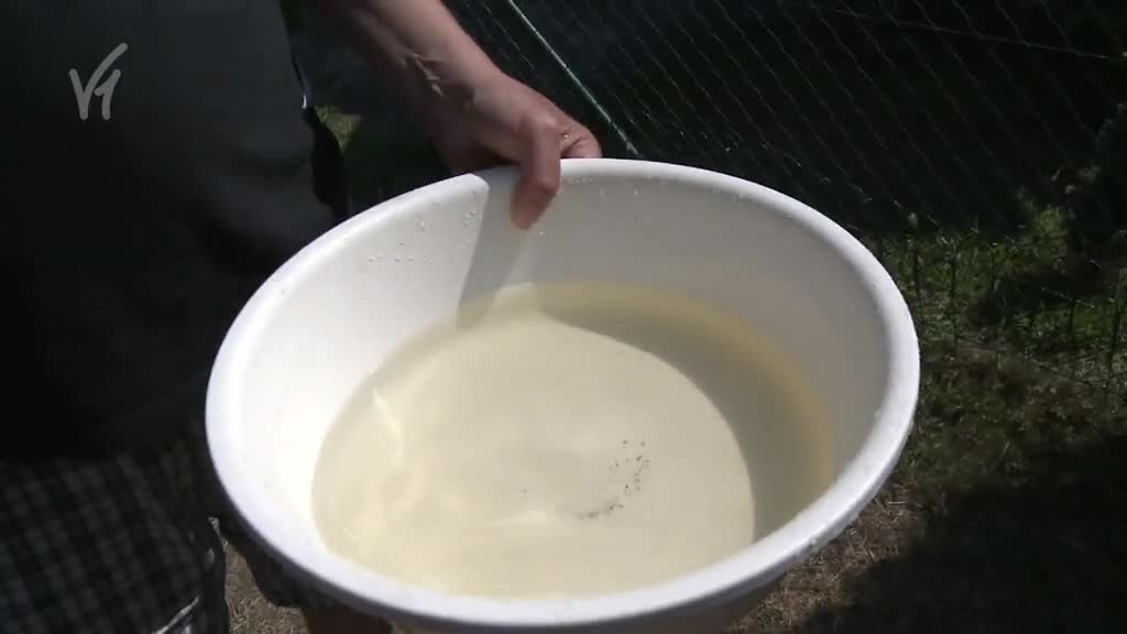 Východočeské zprávy