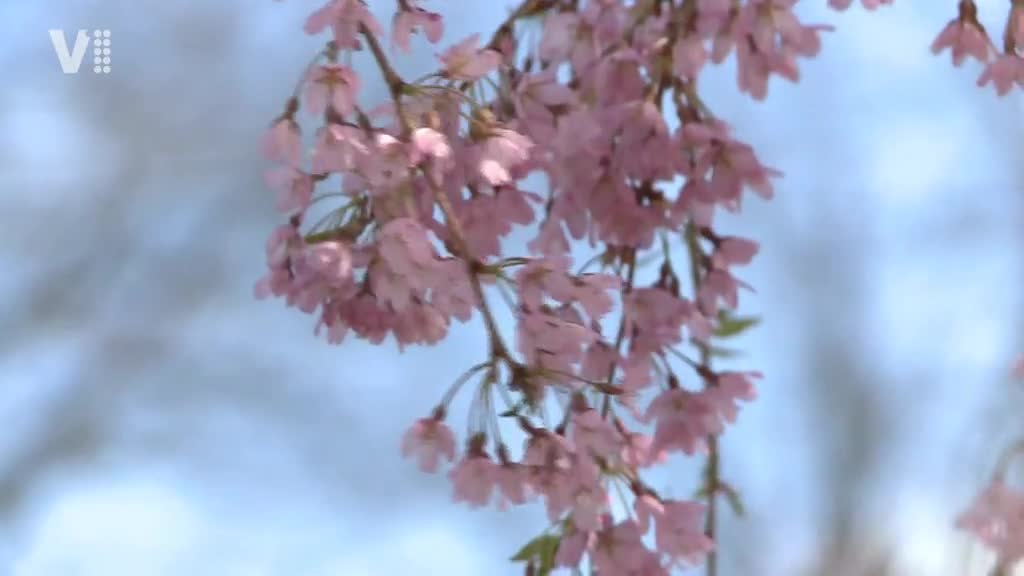 Východočeské zprávy