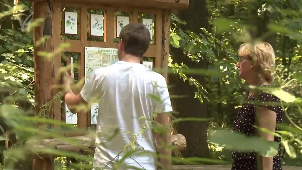 Východočeské zprávy