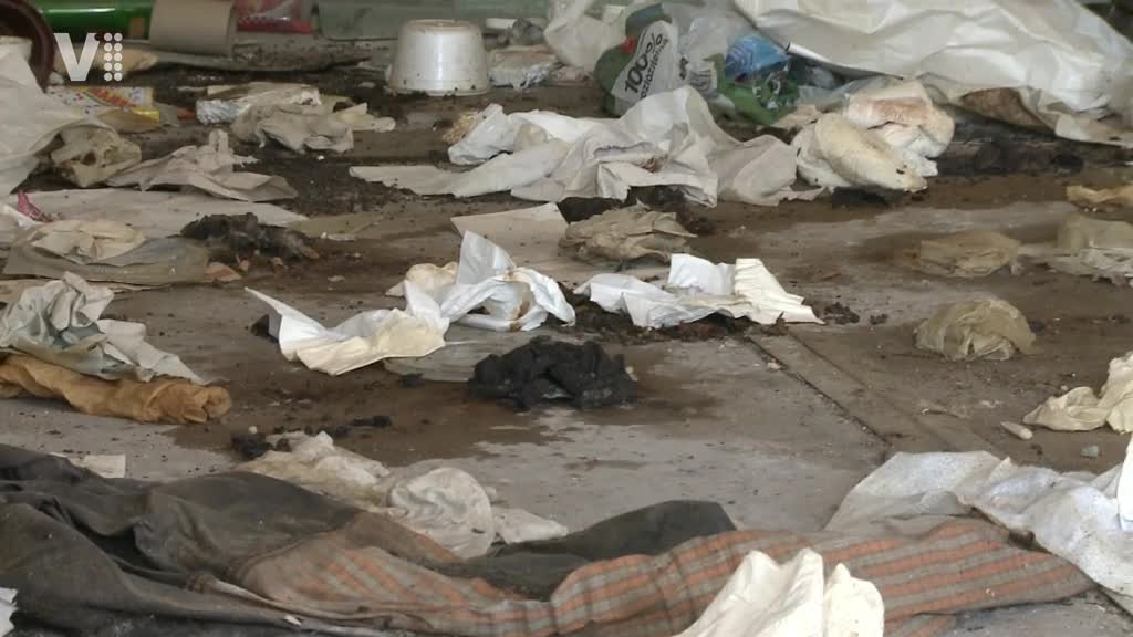 Východočeské zprávy