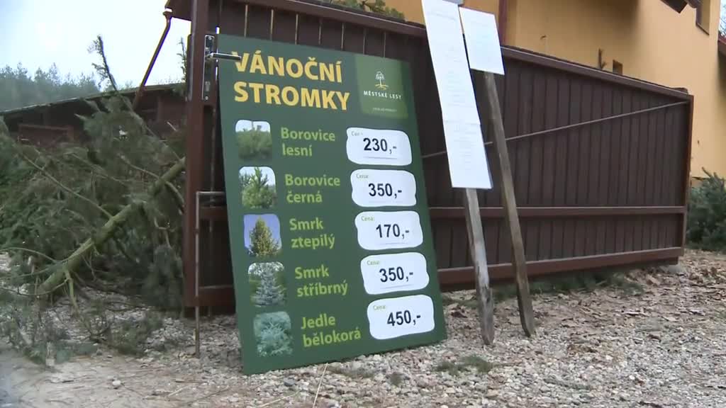 Východočeské zprávy