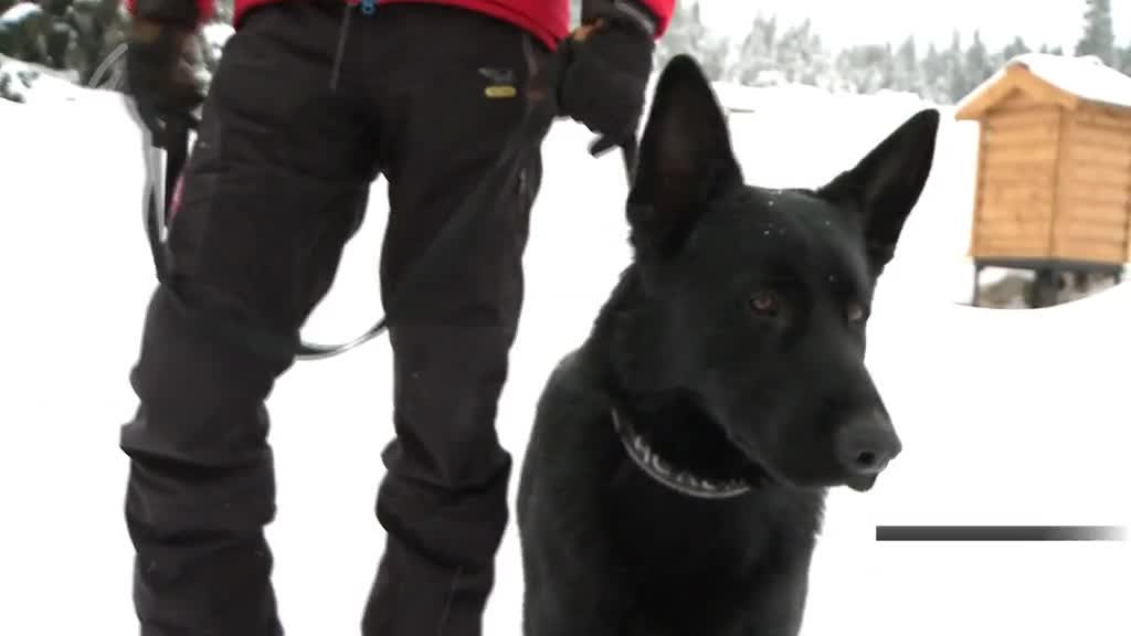 Východočeské zprávy