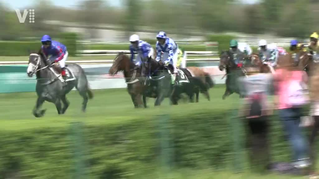 Východočeské zprávy