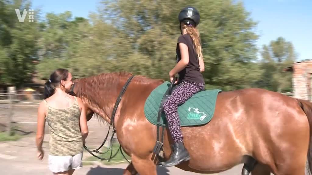 Východočeské zprávy