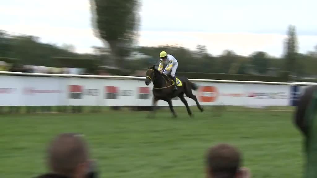 Východočeské zprávy