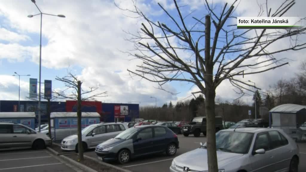 Východočeské zprávy