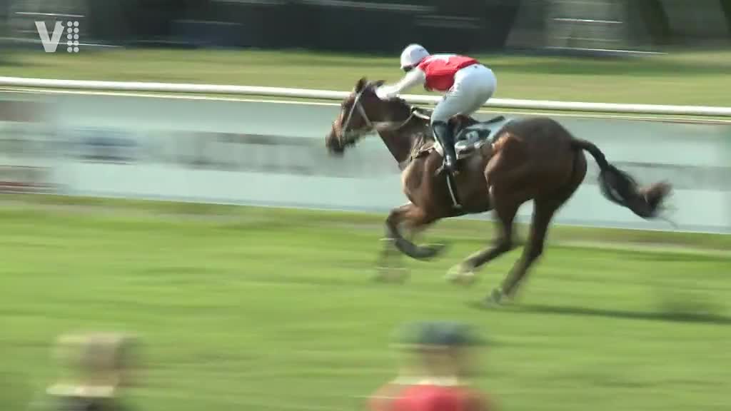 Východočeské zprávy