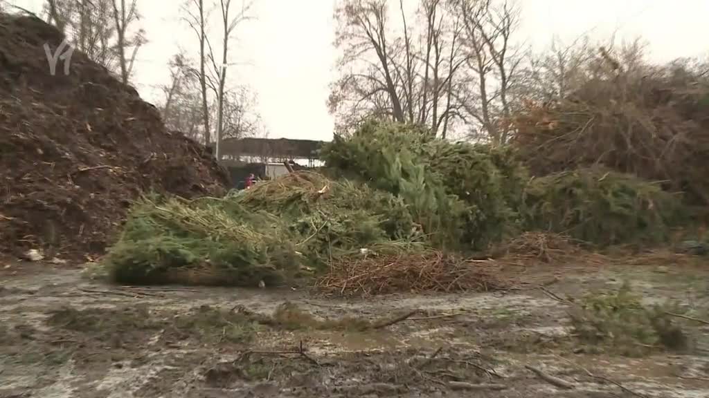 Východočeské zprávy