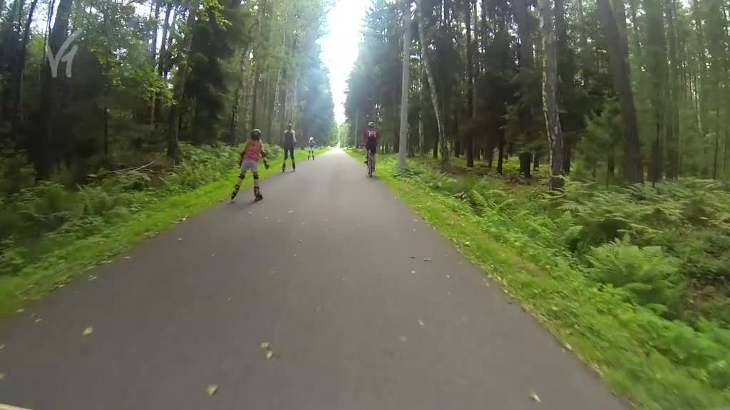 Východočeské zprávy