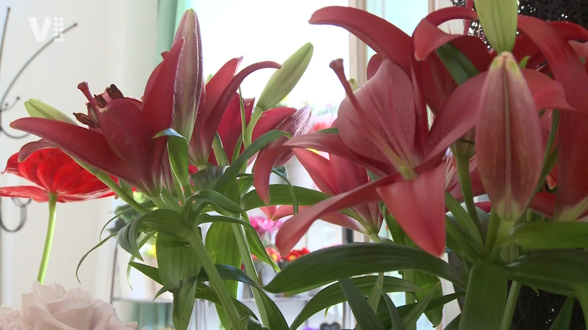 Východočeské zprávy