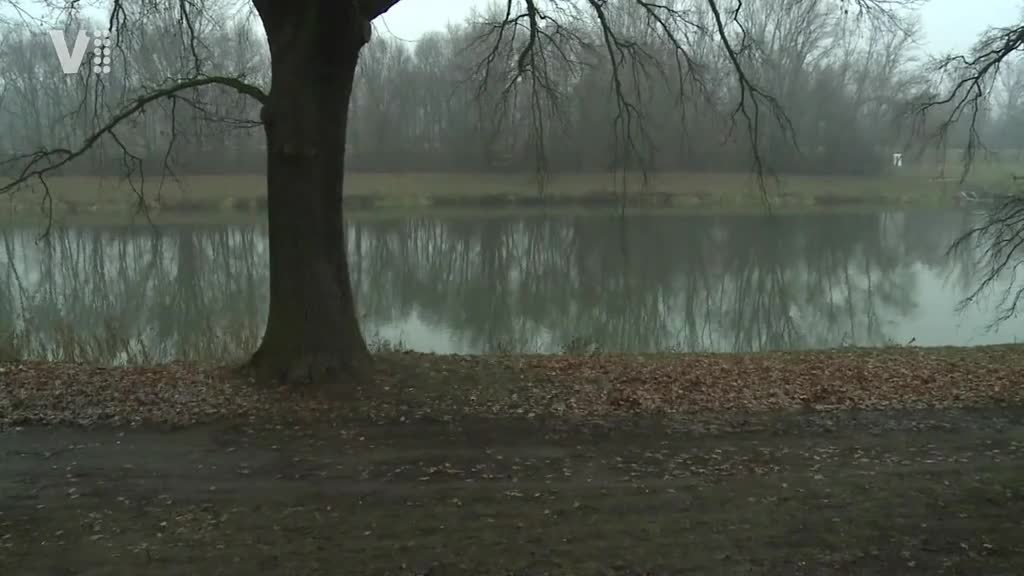 Východočeské zprávy