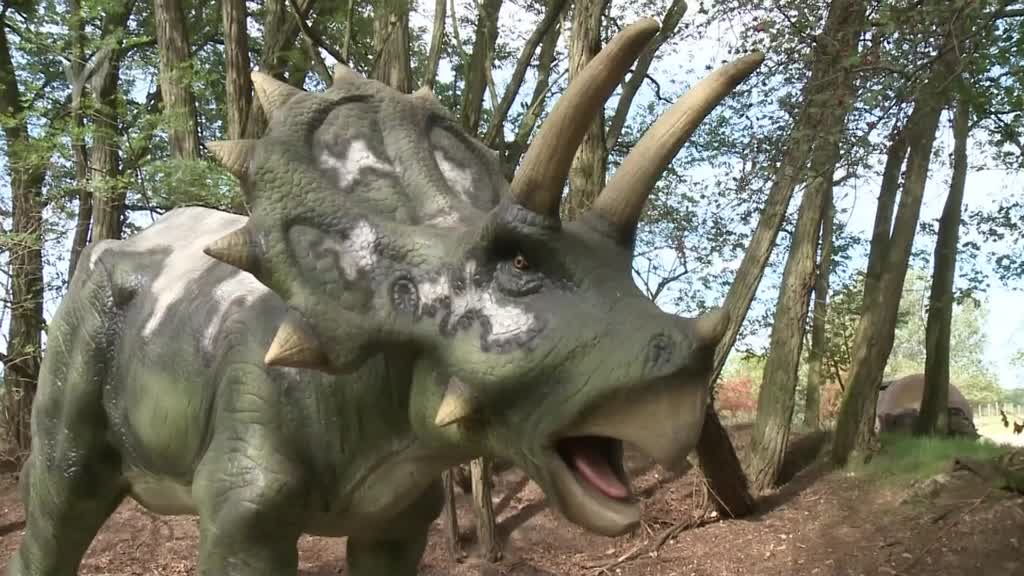 Východočeské zprávy