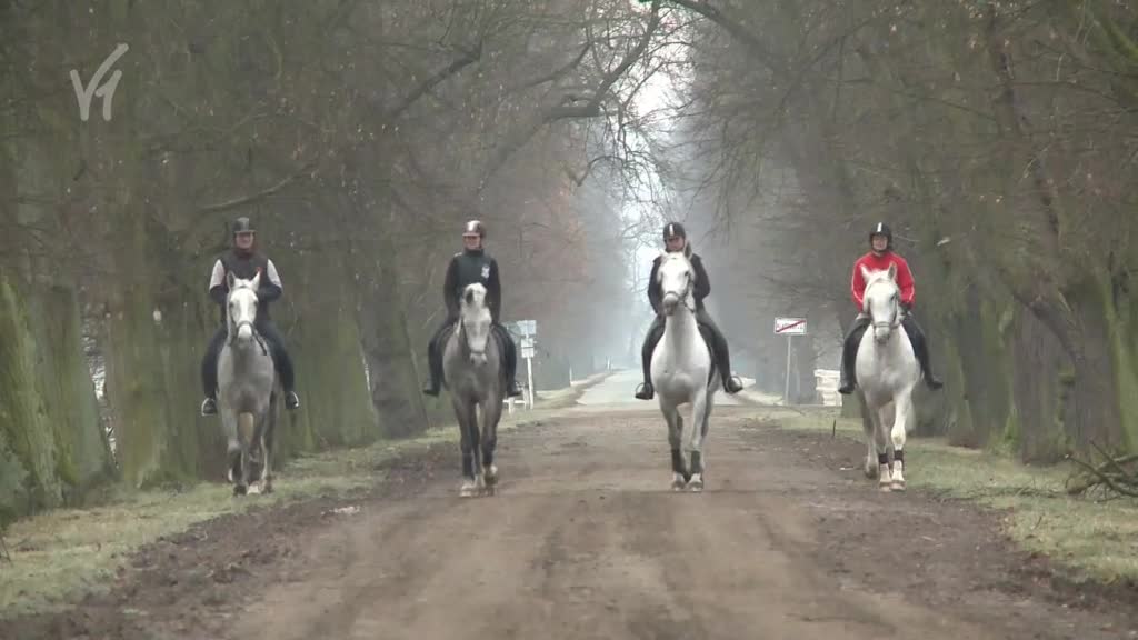 Východočeské zprávy