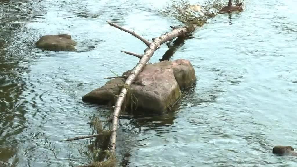 Východočeské zprávy